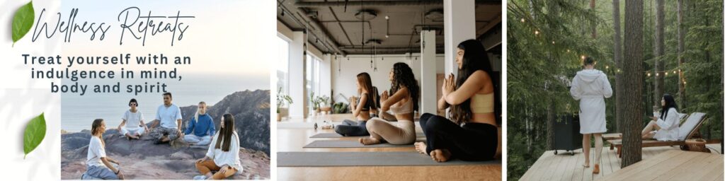 Discover the best handpicked retreats and trainings on the planet