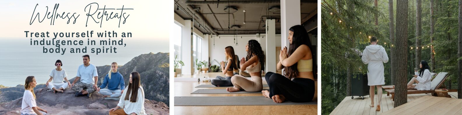 Discover the best handpicked retreats and trainings on the planet